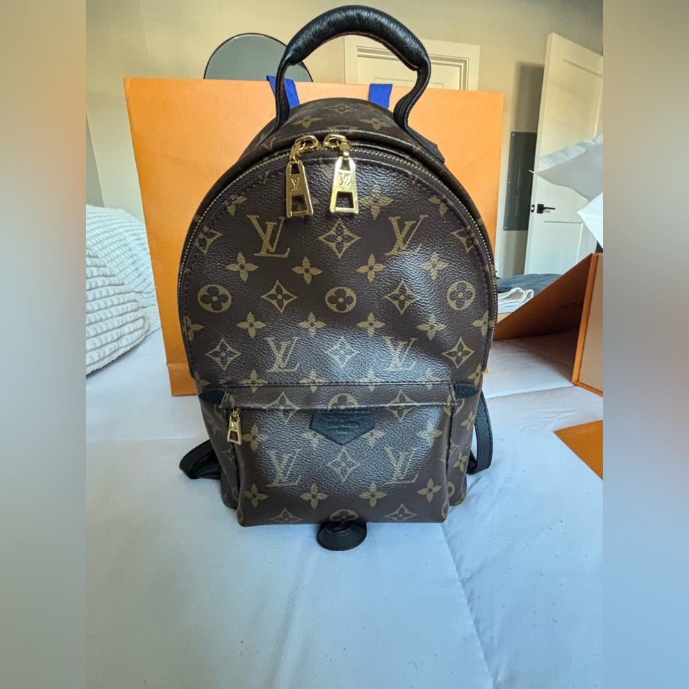 Louis Vuitton Palm Springs PM backpack